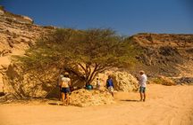 Sunset Oasis Desert Experience in El Gouna and Hurghada