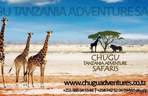 7 days - Northern Tanzania Camping Safaris