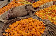 Take in the Beauty of an Early Morning with Fresh Flowers 