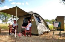 3-days Serengeti Balloon flight experience