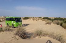 Doñana National Park in 4x4 and El Rocío