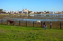 Doñana National Park in 4x4 and El Rocío