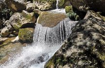 Private 1 day drive: Dujiangyan Irrigation and Mt. Qingcheng
