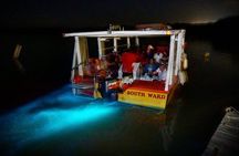 Dunn's River Falls & Luminous Lagoon Guided Tour from Montego Bay 