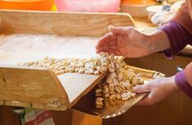 Small group Pasta and Tiramisu class in Lecce