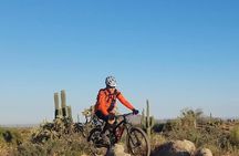 Sonoran Desert 1.5 Hour Private Customized Mountain Bike Tour