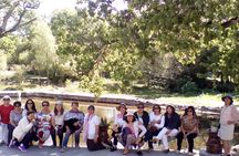 Tour Visiting the Malpais
