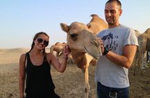 Desert Safari Abu Dhabi 
