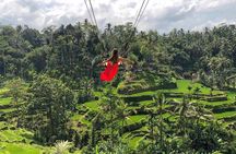 Ubud: Monkey Forest, Jungle Swing, Rice Terrace, and Water Temple