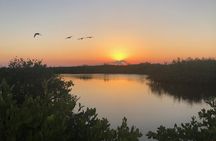 Florida Sunset and Bioluminescence Package