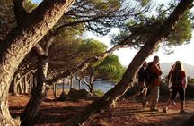 Costa Brava Small Group Hiking Tour from Barcelona