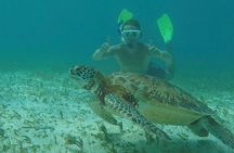 Hol Chan Full-Day Bucket List Snorkeling and Marine Life Tour
