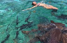 Hol Chan Full-Day Bucket List Snorkeling and Marine Life Tour