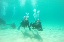 Baptism of diving in the Natural Park of the Strait