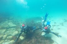 Baptism of diving in the Natural Park of the Strait