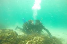 Baptism of diving in the Natural Park of the Strait
