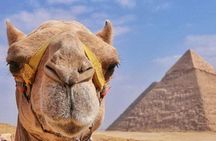 Private Tour at Giza Pyramids & Sphinx 