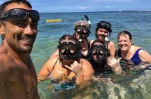 Hawaii's #1 Private Tour With Snorkeling at Turtle Beach