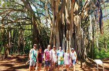 Private Tour Oahu Circle Island - Fully Personalized Experience