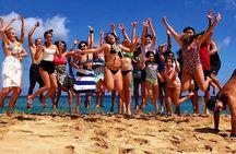 Hawaii's #1 Private Tour With Snorkeling at Turtle Beach