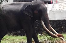 Sri Lanka 5 Day Privet Tour