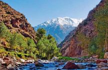 Small-Group Tour from Marrakech to the Atlas mountains
