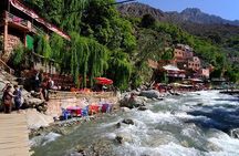 Small-Group Tour from Marrakech to the Atlas mountains