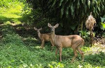 Atitlan Hiking and Birding - Day tour from Antigua
