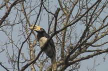 Chitwan National Park 2 nights and 3 days