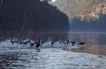 Wilderness kayak adventure with gourmet food