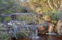 Wilderness kayak adventure with gourmet food