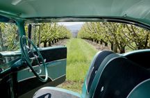 '56 Chevrolet 6-Hour Yarra Valley Indulgence Classic Car Private Tour (4 person)