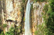 Private Rainforest & Wildlife Tour - Build Your Own Experience