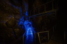 Waitomo Glowworm & Ruakuri Twin Cave Experience - Small Group Tour From Auckland