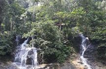 Back to Nature Tour - Templer's Park, Hot Spring & Batu Caves