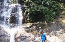 Back to Nature Tour - Templer's Park, Hot Spring & Batu Caves