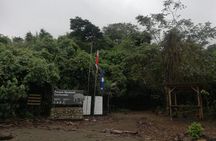 Corcovado Siren Overnight: Sleep in the most bio-intense forest.