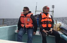 Penguins Watching Navigation Cachagua Island & Lunch From STGO
