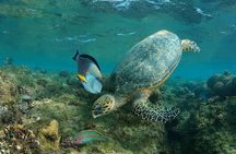 Abu Dabbab Dugong Bay Marsa Alam Tours