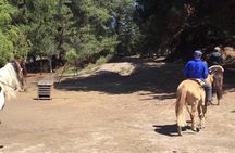 Horse Ride & BBQ in Ritoque Beach&Dunes FROM VALPO. Private Tour