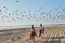 Horse Ride & BBQ in Ritoque Beach&Dunes FROM VALPO. Private Tour