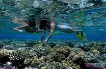 Portghalib Intro Diving Trip From Marsa Alam