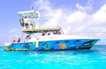 Cozumel Snorkeling Tour at Palancar & Colombia Reefs and El Cielo