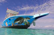 Cozumel Snorkeling Tour at Palancar & Colombia Reefs and El Cielo