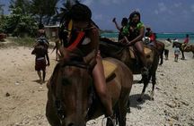 Ocho Rios Private Horse Riding, River Tubing and Rafting[Entry fee not included]