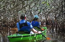Everglades Kayak Safari Adventure Through Mangrove Tunnels 