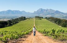 Constantia Winelands Private Wine Tour from Cape Town