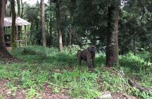 Day Trip To Menagesha Suba Forest