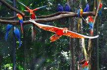 Temaiken Biopark Tour with Transfer Included