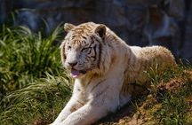Temaiken Biopark Tour with Transfer Included
